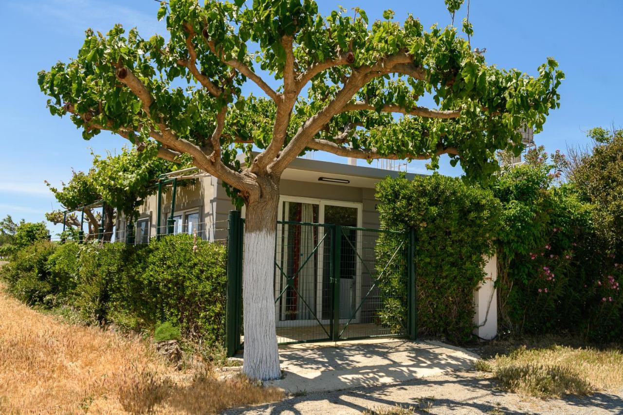 Petrakis Afrathias Garden House Villa Kalamaki  Exterior photo